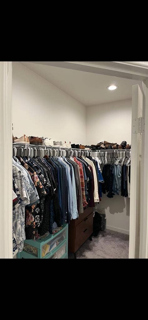 Master room or single room