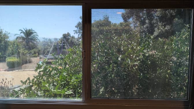 Room for rent in Chula Vista, CA