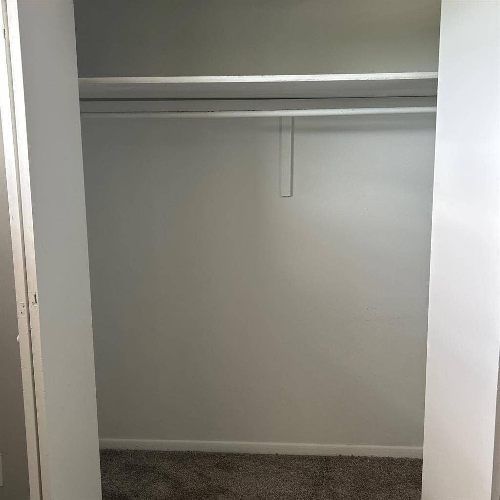 Looking for a roommate