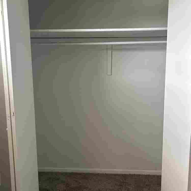 Looking for a roommate