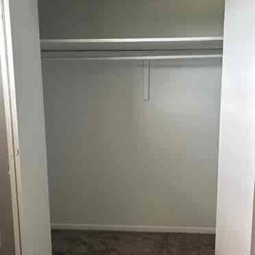 Looking for a roommate
