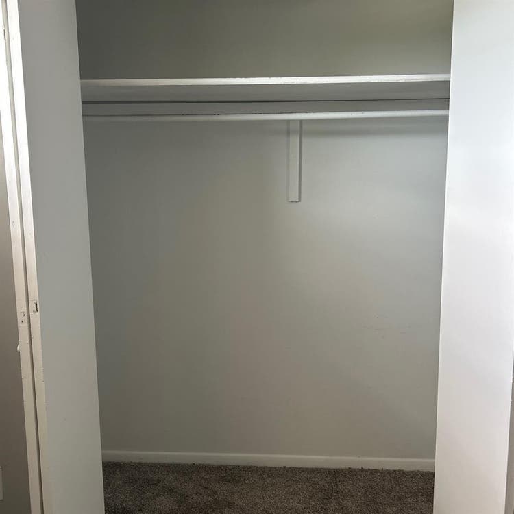 Looking for a roommate