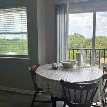 Looking for a roommate