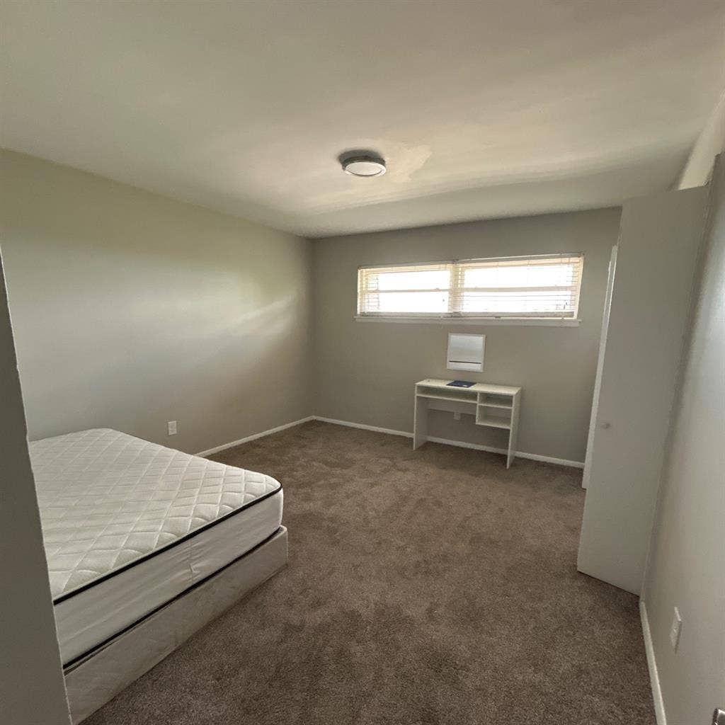 Looking for a roommate
