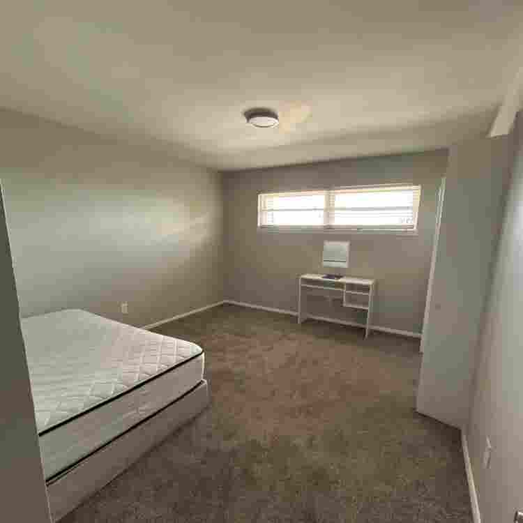 Looking for a roommate