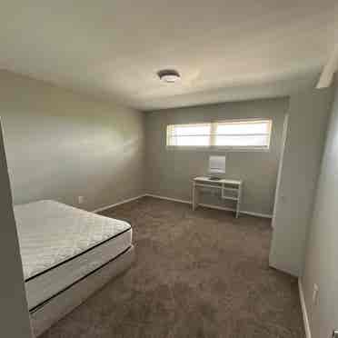 Looking for a roommate