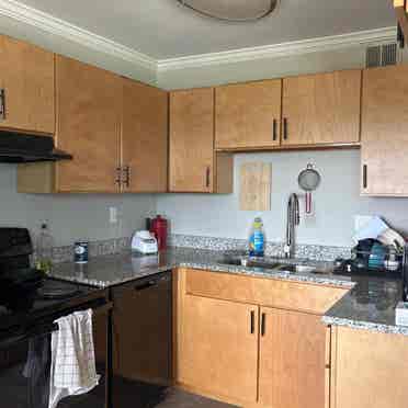 Looking for a roommate