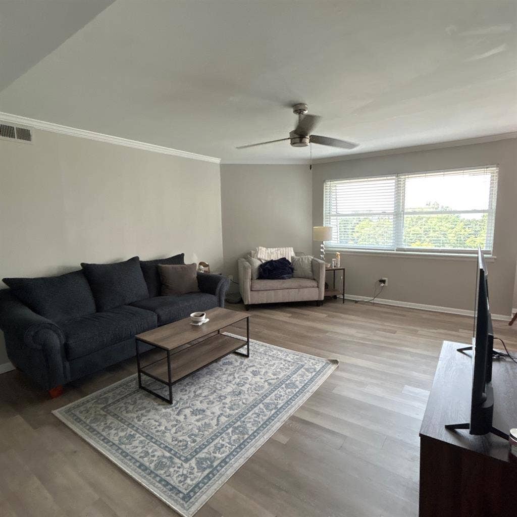 Looking for a roommate