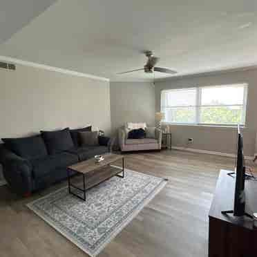 Looking for a roommate