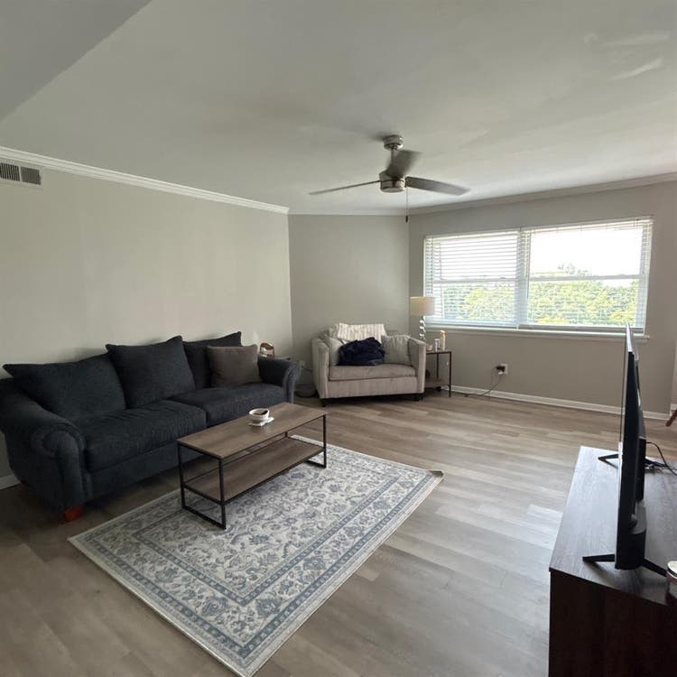 Looking for a roommate