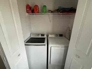 Needing housemates for school year
