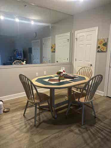 Female Roommate Wanted!