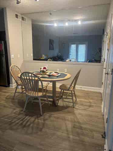 Female Roommate Wanted!
