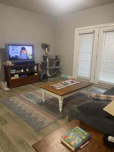 Female Roommate Wanted!