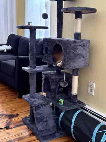 Clean freak in a clean house
