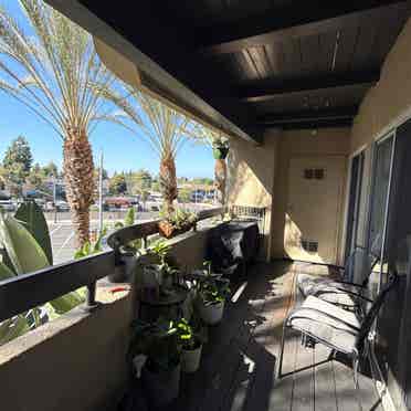 Looking for a roommate!