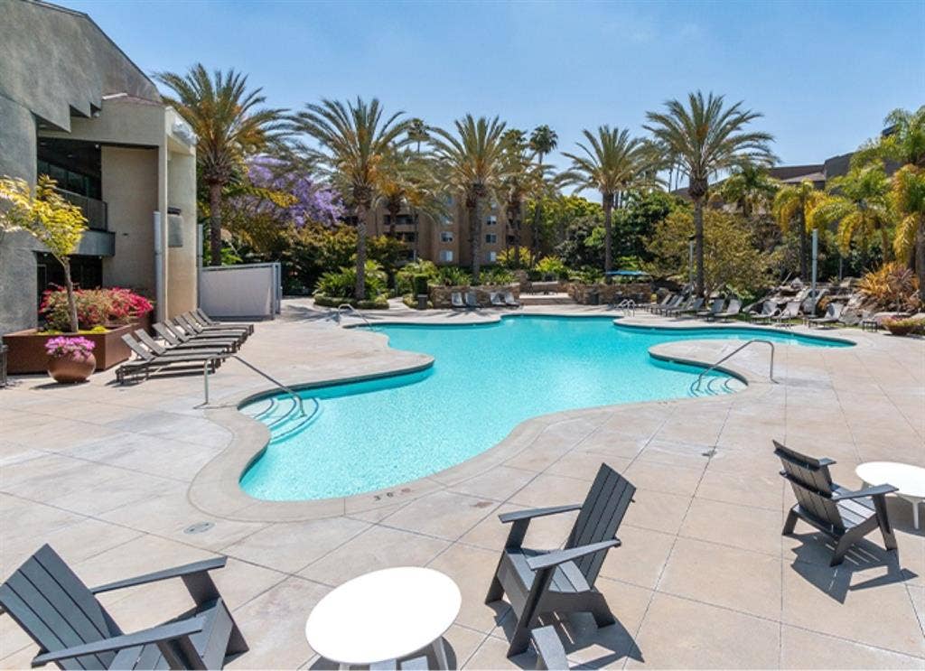 Looking for a roommate!