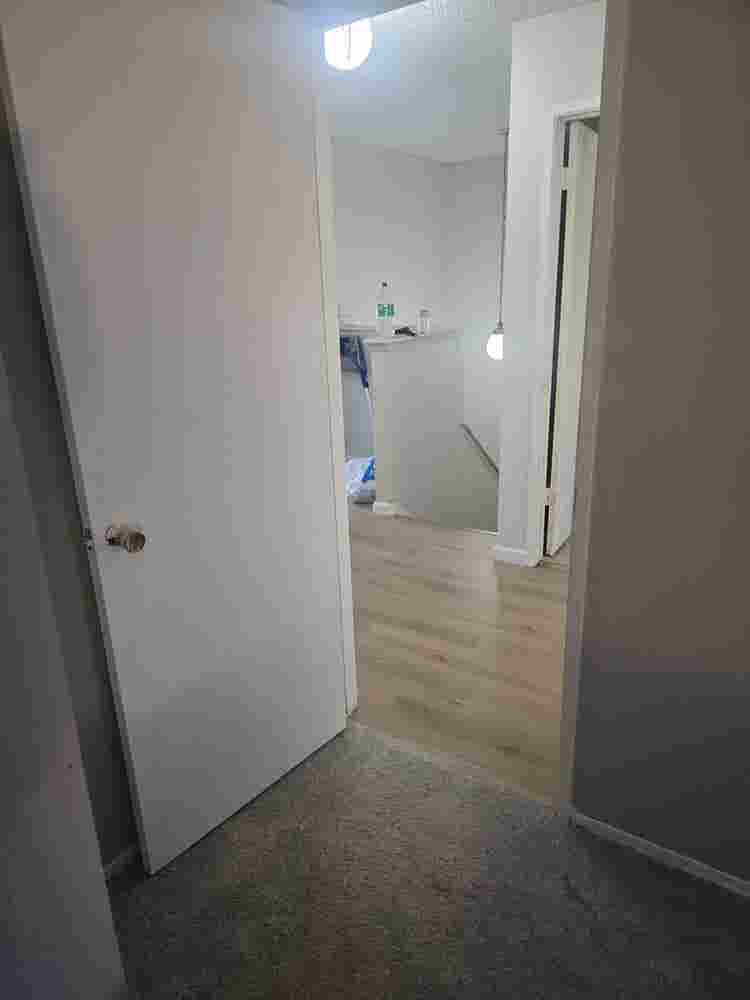 Room available immediately