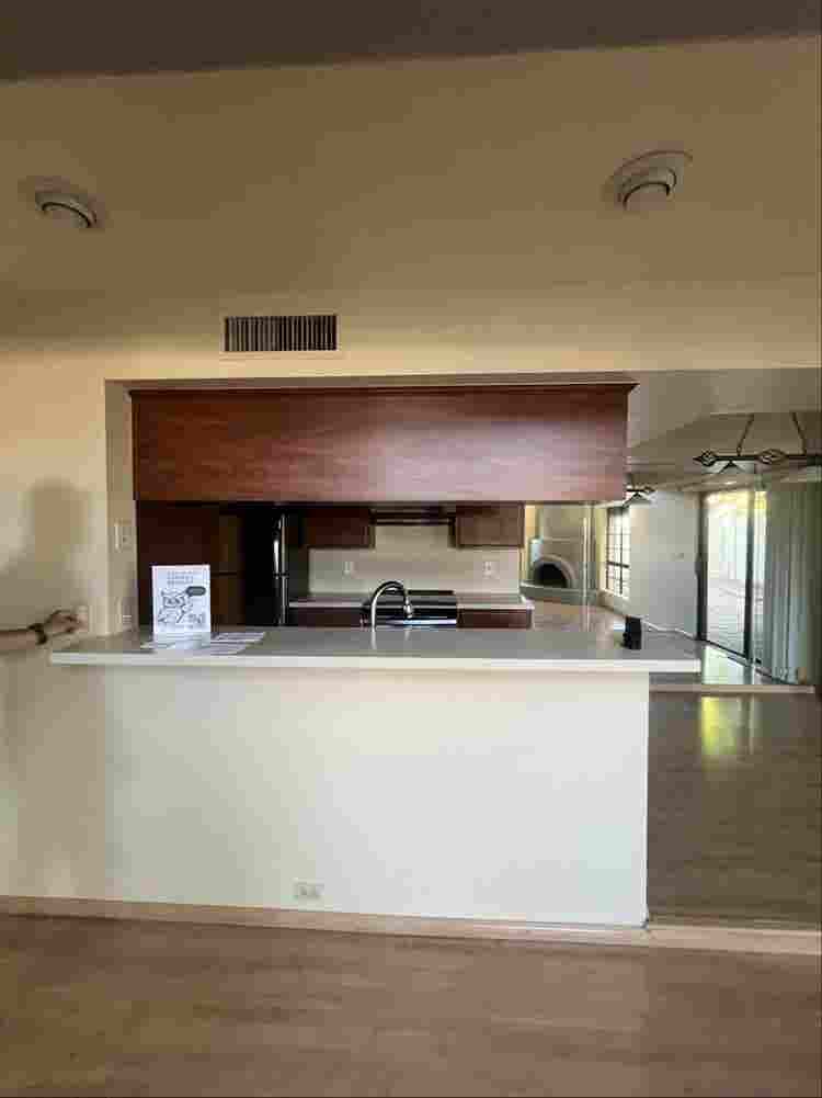 Looking for chill roommate