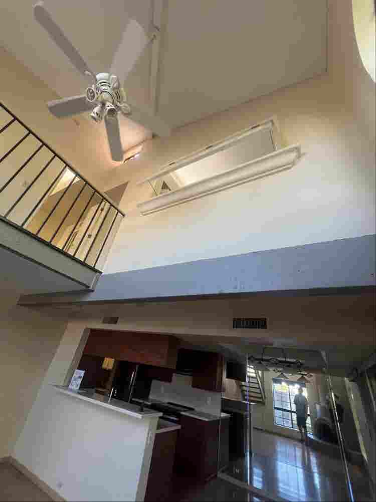 Looking for chill roommate