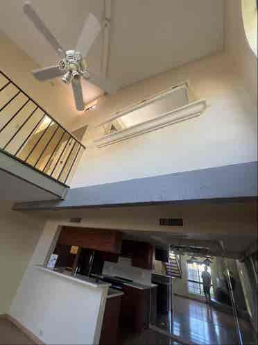 Looking for chill roommate