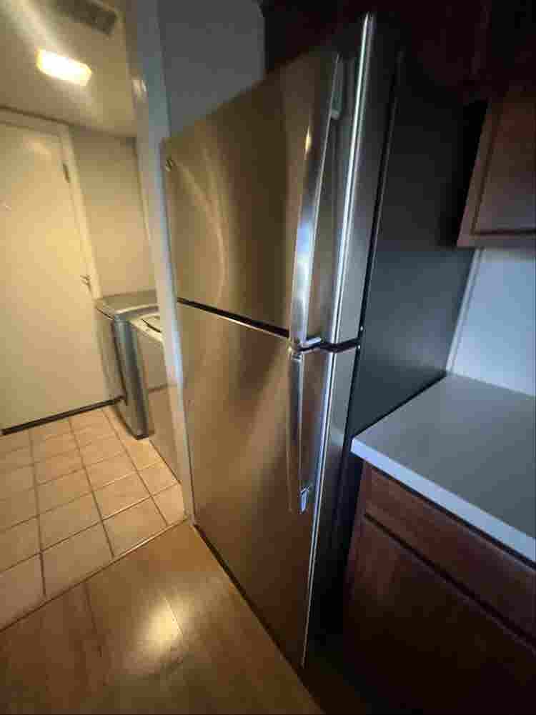 Looking for chill roommate