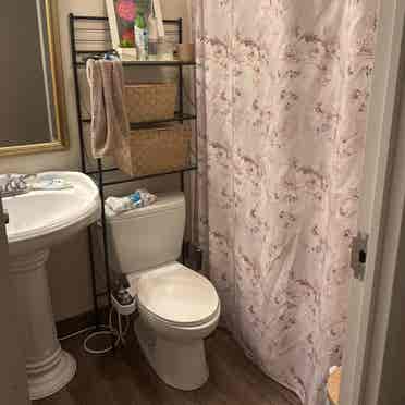 Looking for Roommate