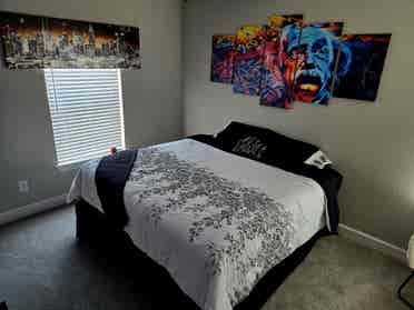 Roommate Needed