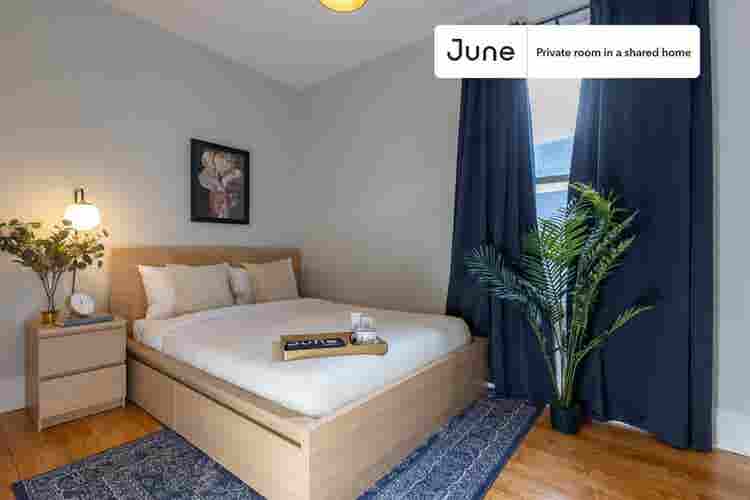 4 BR in Boston