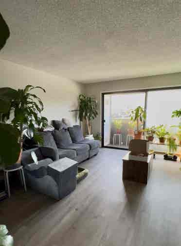 Room in 2BR-Apartment in Chinatown