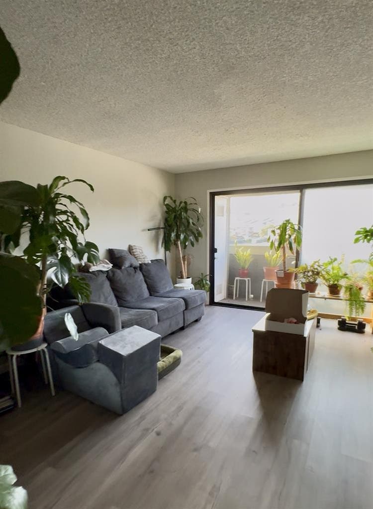 Room in 2BR-Apartment in Chinatown