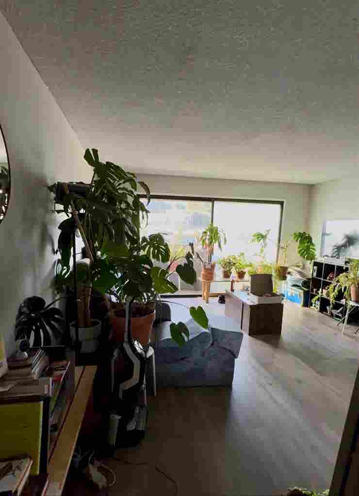 Room in 2BR-Apartment in Chinatown