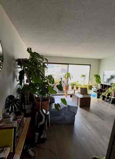 Room in 2BR-Apartment in Chinatown