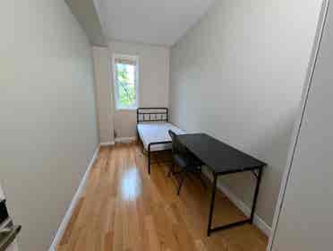 York University Village Room Rental