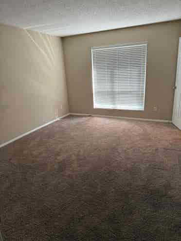 Move in immediately considered!