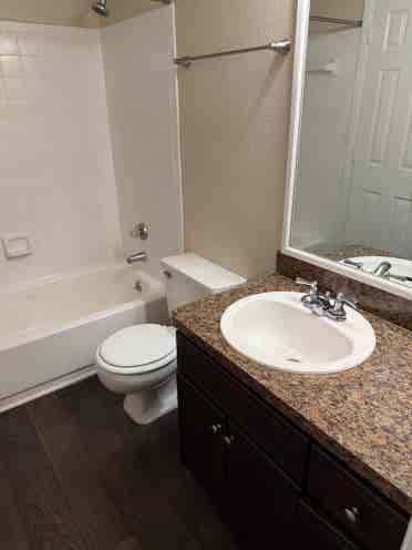 Move in immediately considered!
