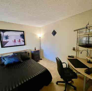 Own Furnished Bedroom, 
Own Bathroom