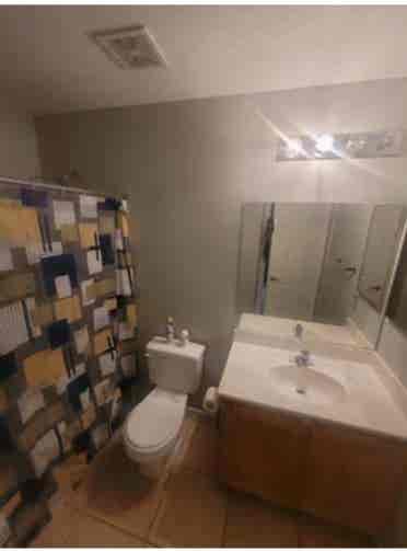 Room for rent in a shared house
