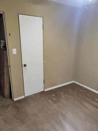 Looking for chill roommate.