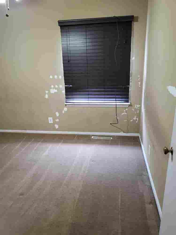 Looking for chill roommate.