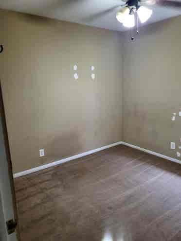 Looking for chill roommate.