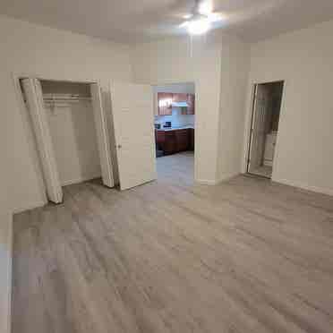 Studio for rent