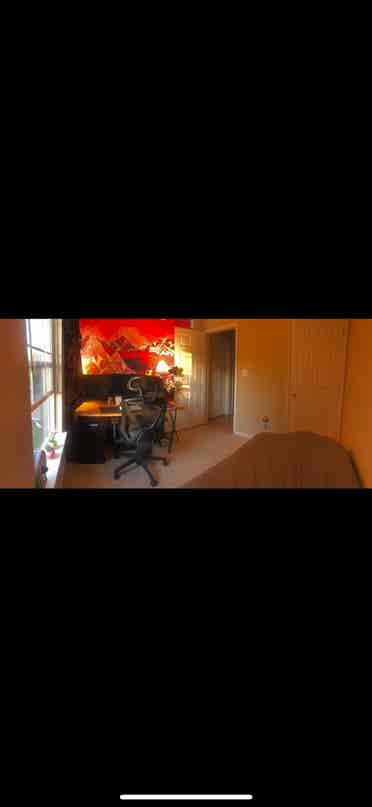 Roommate Needed ASAP!