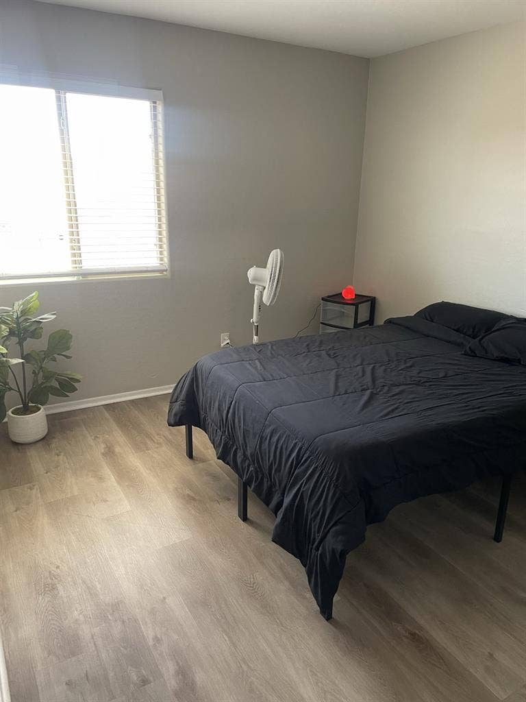 Peaceful Private Room for Rent