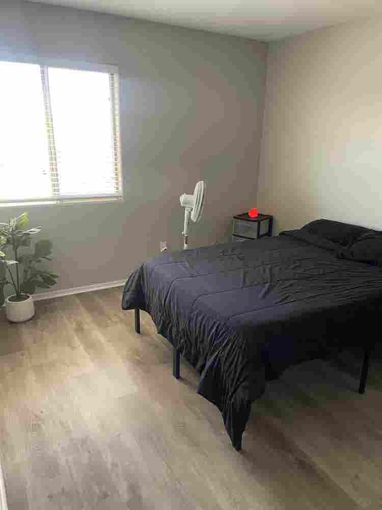 Peaceful Private Room for Rent