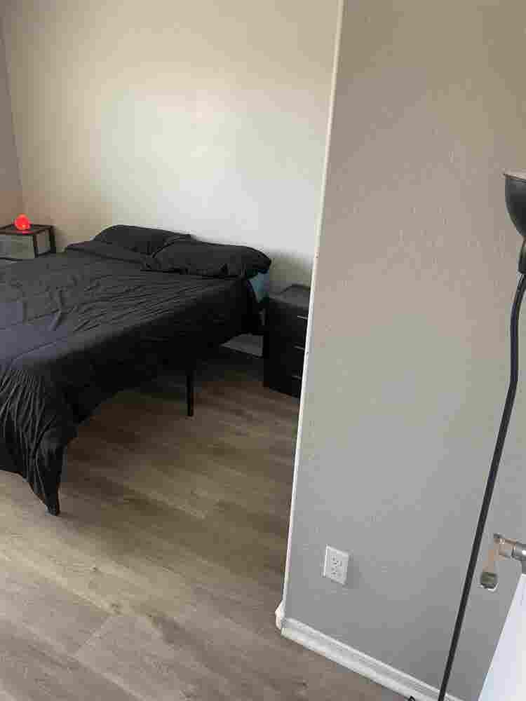 Peaceful Private Room for Rent