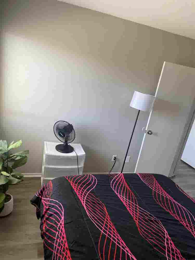 Peaceful Private Room for Rent