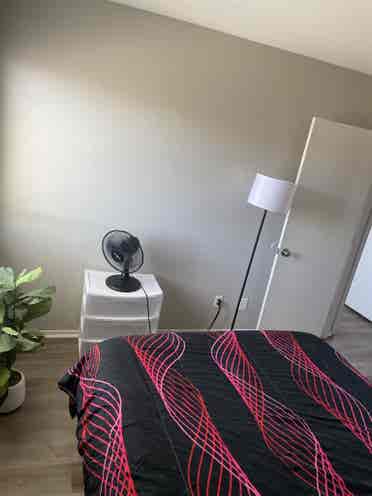 Peaceful Private Room for Rent
