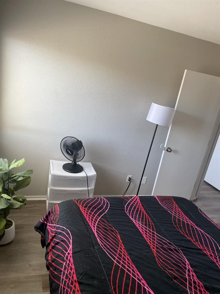 Peaceful Private Room for Rent