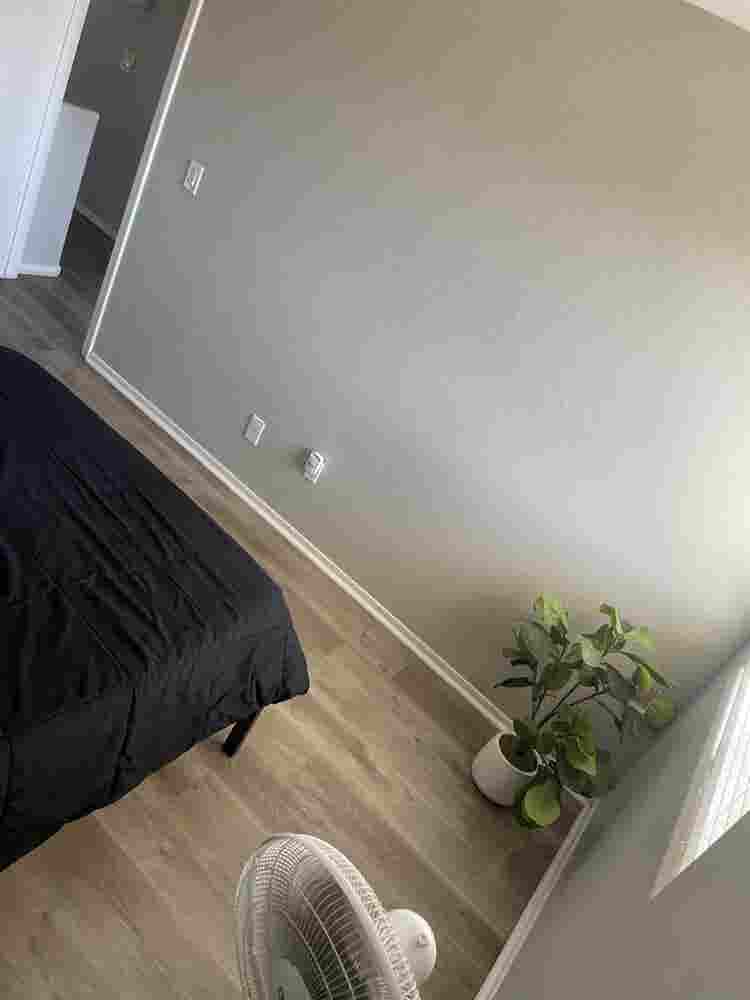 Peaceful Private Room for Rent